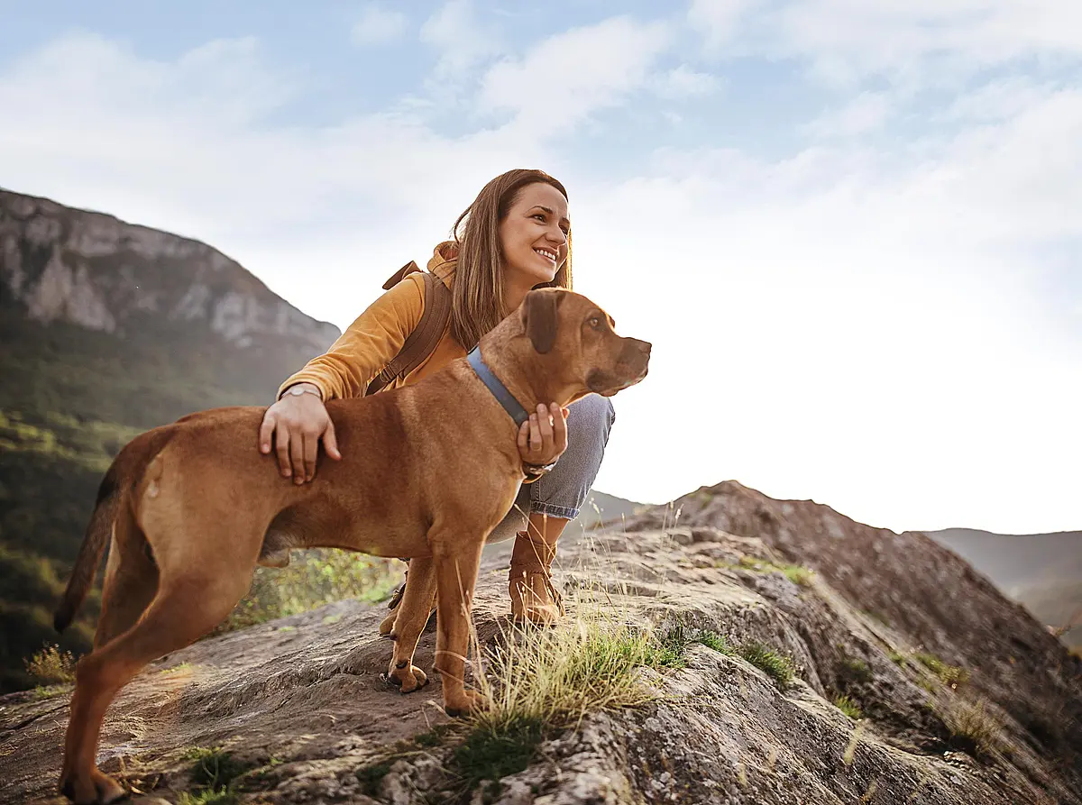 Lächelnde Frau mit braunem Hund auf einem Felsen beim Wandern in den Bergen während eines Urlaubs mit dem NEXT Caravan