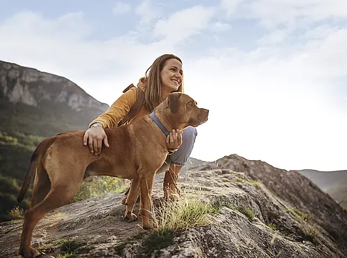 Lächelnde Frau mit braunem Hund auf einem Felsen beim Wandern in den Bergen während eines Urlaubs mit dem NEXT Caravan